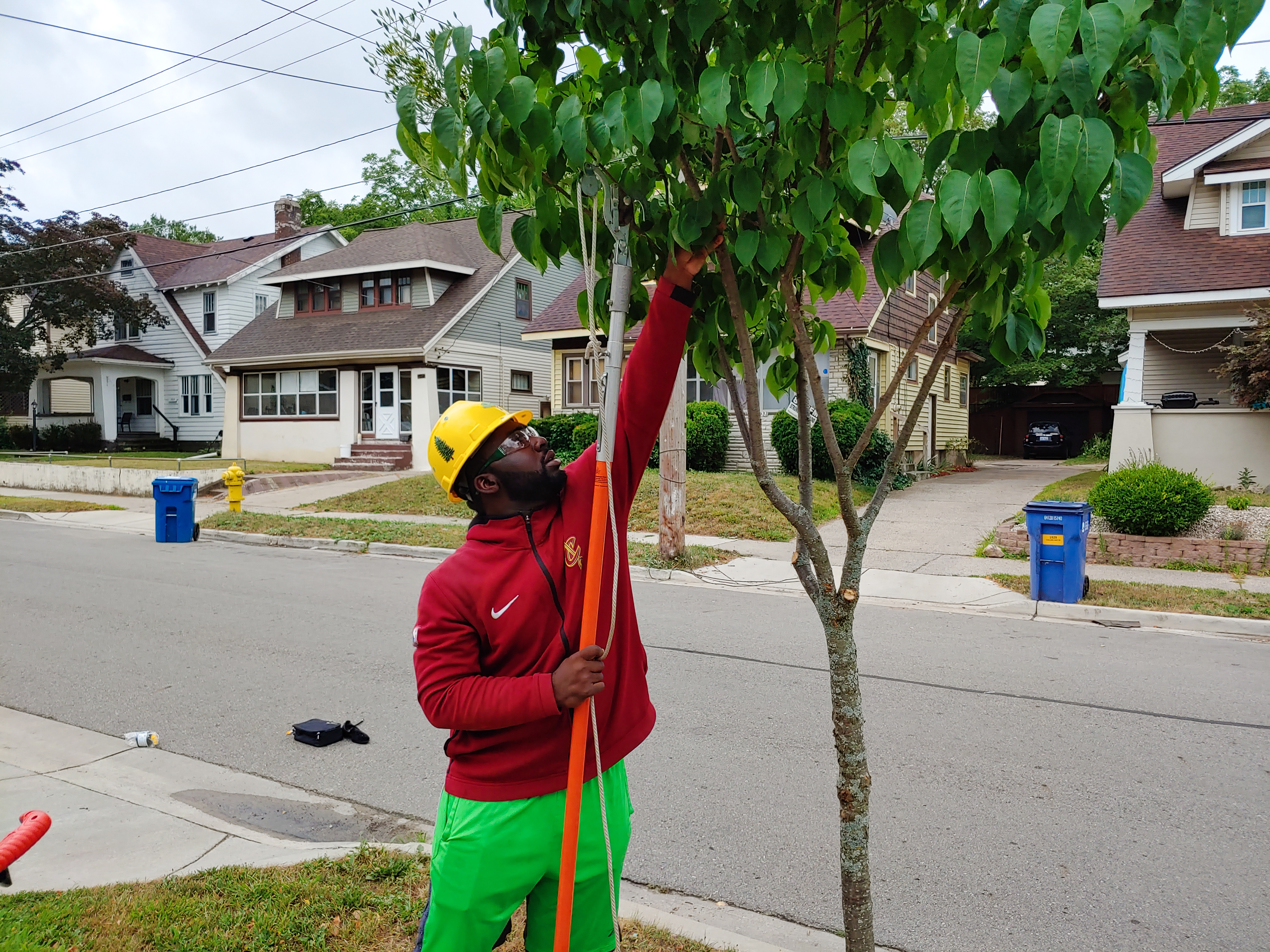 Clipping a tree